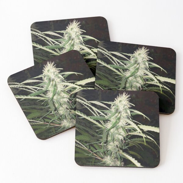 Item preview, Cannabis White Pistils designed and sold by Canadian-Garden.