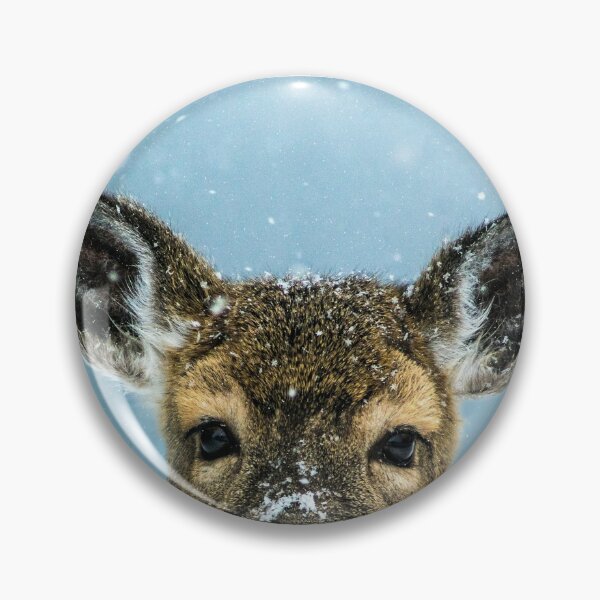 Item preview, WHITE-TAIL DEER photography art print by TIRED STARLING designed and sold by TiredStarling.