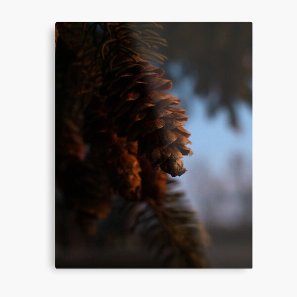 Item preview, Golden Pinecone designed and sold by Goldframe.