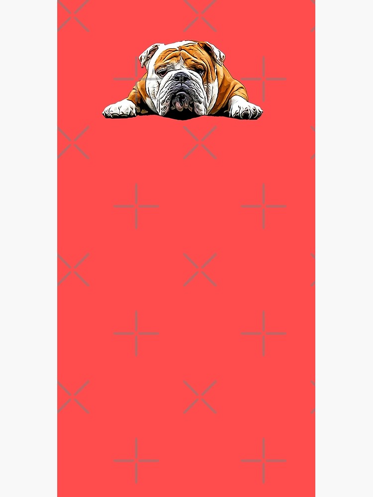 Bulldog Chill Pose - English Bulldog by ElegantCat