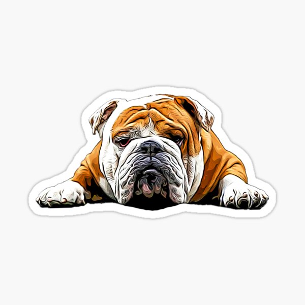 Bulldog Chill Pose - English Bulldog Sticker for Sale by ElegantCat