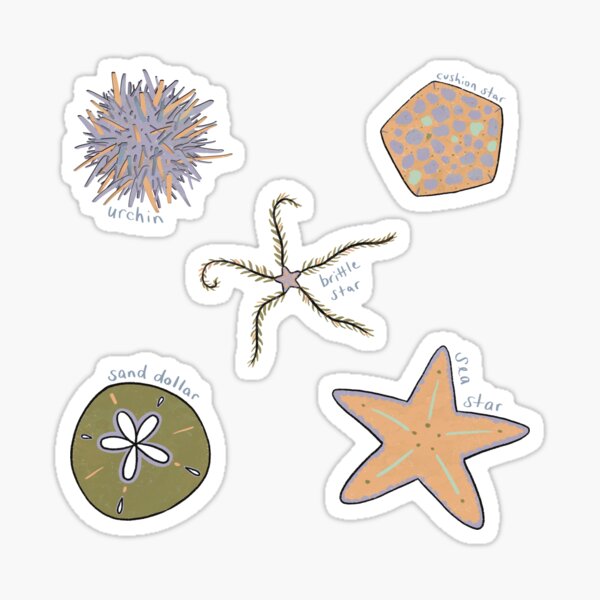 Starfish - 10 Pack Circle Stickers 3 Inch - Sea Ocean Creature