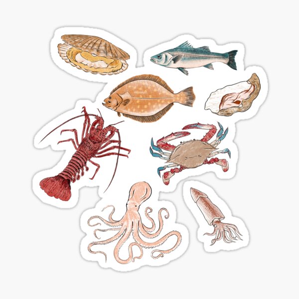 "Illustration of a set of seafood" Sticker for Sale by iswenyi Redbubble