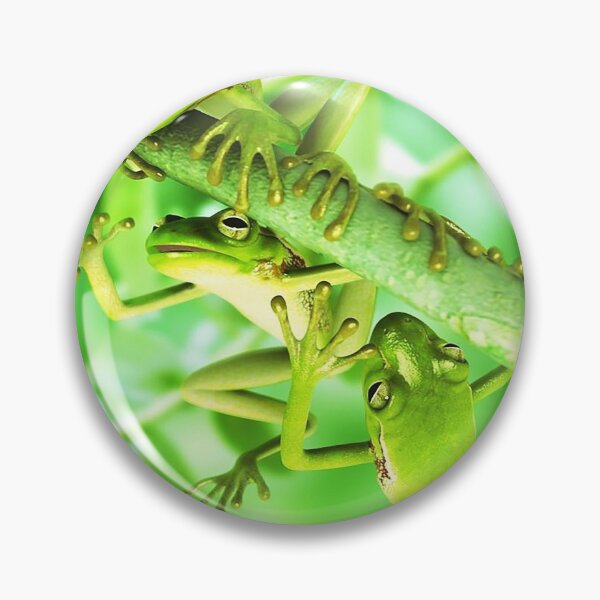 Item preview, Playful Green Frogs designed and sold by Andantino.