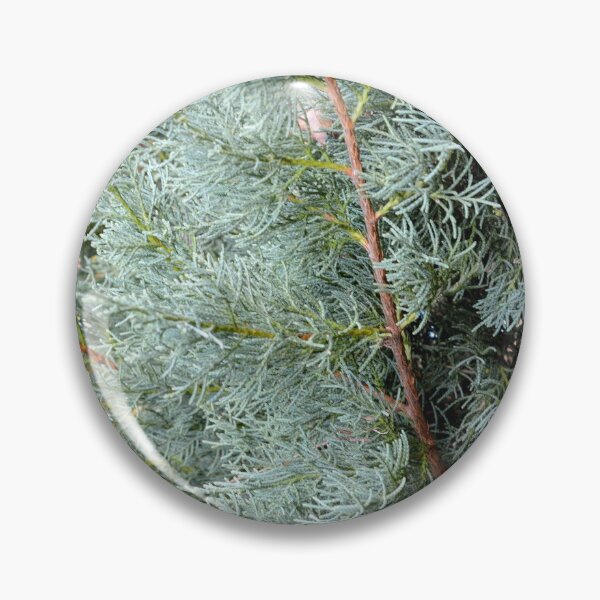 Item preview, Evergreen designed and sold by BattleMountain.