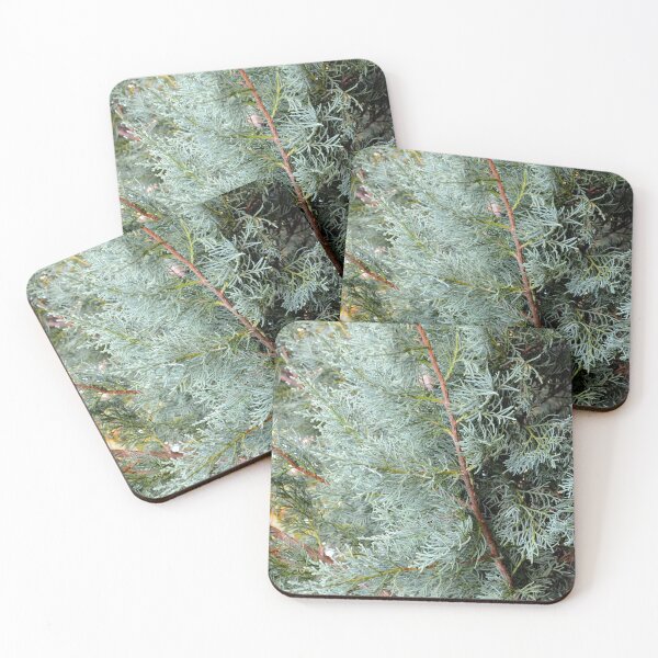 Item preview, Evergreen designed and sold by BattleMountain.