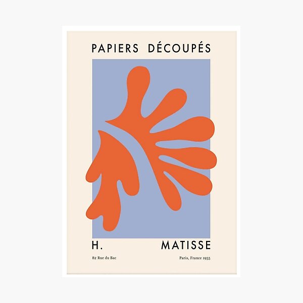 matisse Photographic Print