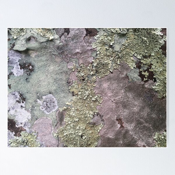 Item preview, Lichen Rock designed and sold by MisterGroom.