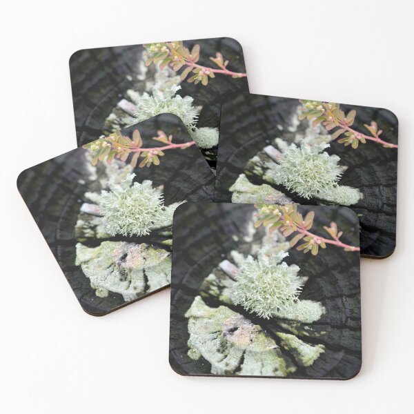 Item preview, Beach Lichen designed and sold by BattleMountain.