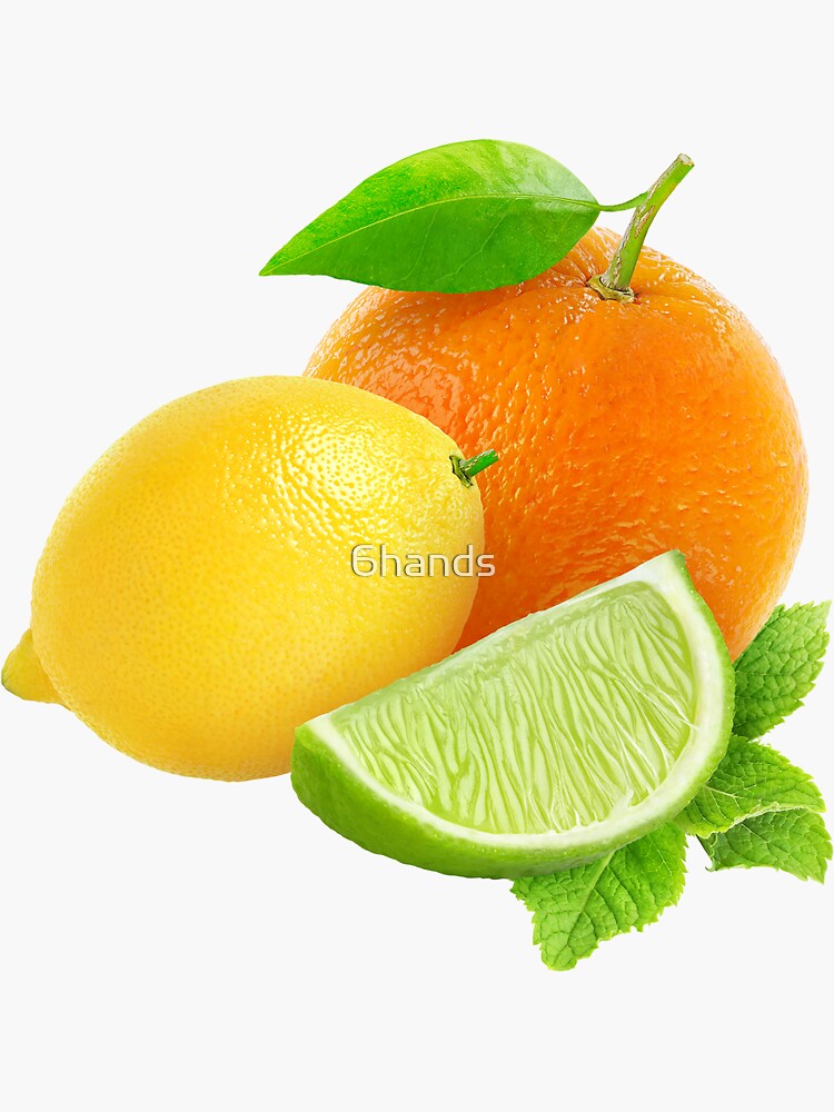 "Orange, lemon and lime" Sticker for Sale by 6hands Redbubble