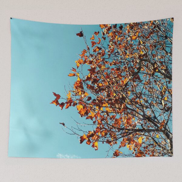 Item preview, Orange autumn tree leaves with blue sky background designed and sold by Mrvell.