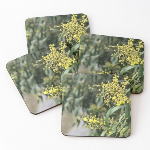 Item preview, Yellow wattle flowers by Kate Ferguson designed and sold by CastlemaineMS.