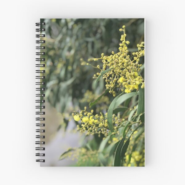 Item preview, Yellow wattle flowers by Kate Ferguson designed and sold by CastlemaineMS.