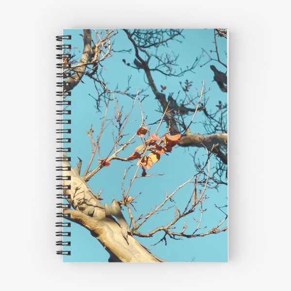 Item preview, Tree branch with orange autumn leaves and blue sky designed and sold by Mrvell.