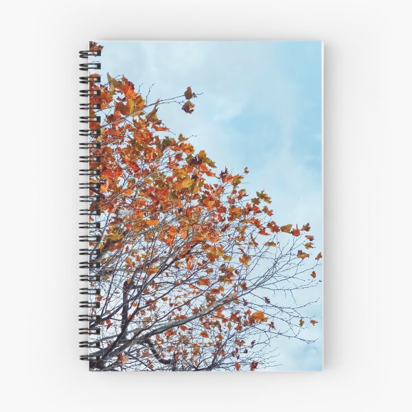 Item preview, Tree branch with orange autumn leaves and blue cloudy sky designed and sold by Mrvell.