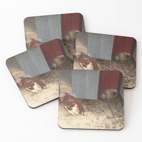 Item preview, Two Turkeys designed and sold by NathanMoore92.