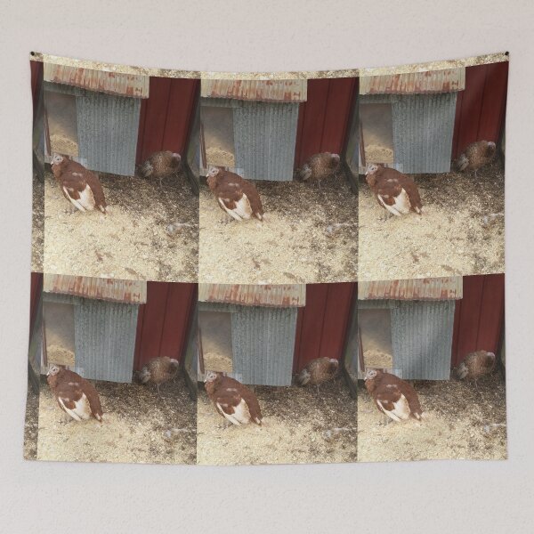 Item preview, Two Turkeys designed and sold by NathanMoore92.