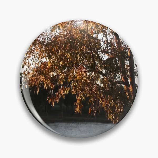 Item preview, Winter in San Diego, California  designed and sold by heatherfriedman.