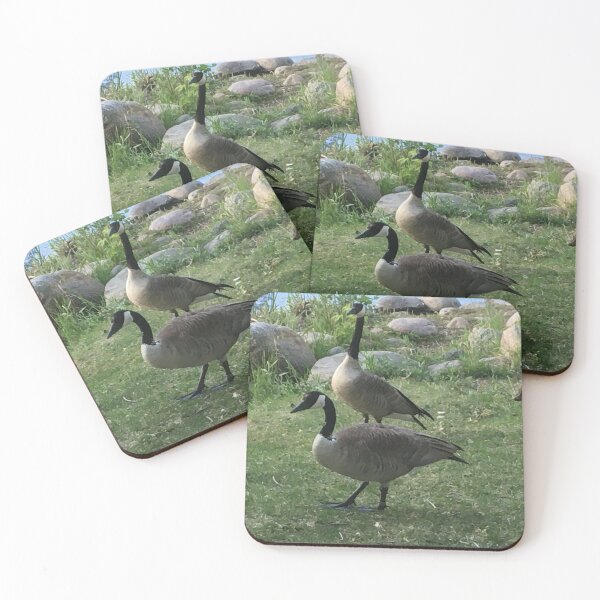 Item preview, Canada Goose designed and sold by mistyroseapple.