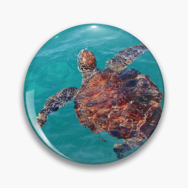 Item preview, Loggerhead turtle - Minjerribah / North Stradbroke Island designed and sold by Meg Forbes.