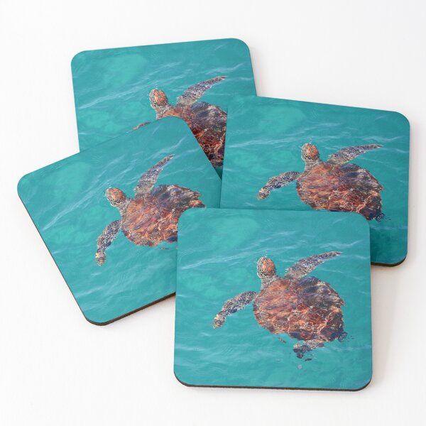 Item preview, Loggerhead turtle - Minjerribah / North Stradbroke Island designed and sold by Meg Forbes.
