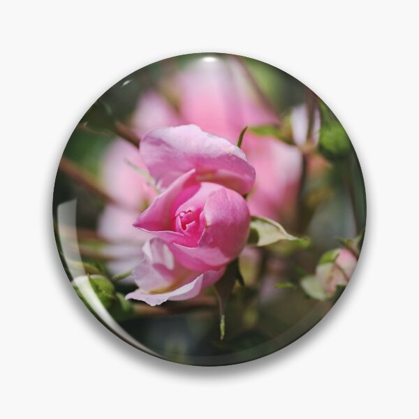 Item preview, Rose Pink Buds Reaching Out  designed and sold by Joy Watson - Natural Light Photography .