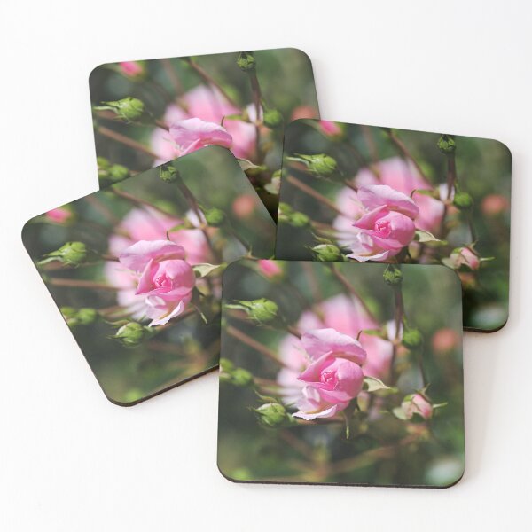 Item preview, Rose Pink Buds Reaching Out  designed and sold by Joy Watson - Natural Light Photography .