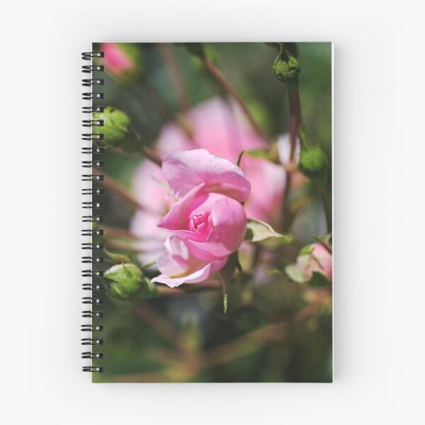 Item preview, Rose Pink Buds Reaching Out  designed and sold by Joy Watson - Natural Light Photography .