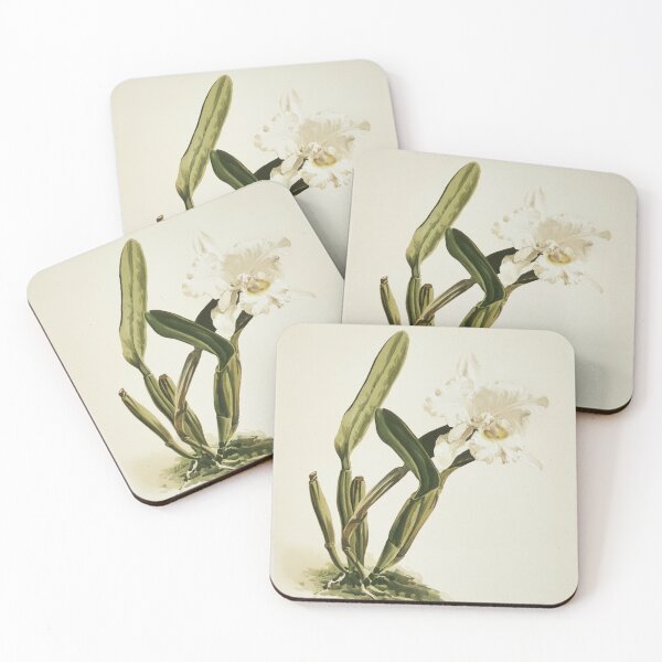Item preview, Reichenbachia: Orchids Illustrated and Described designed and sold by EsotericBotanic.