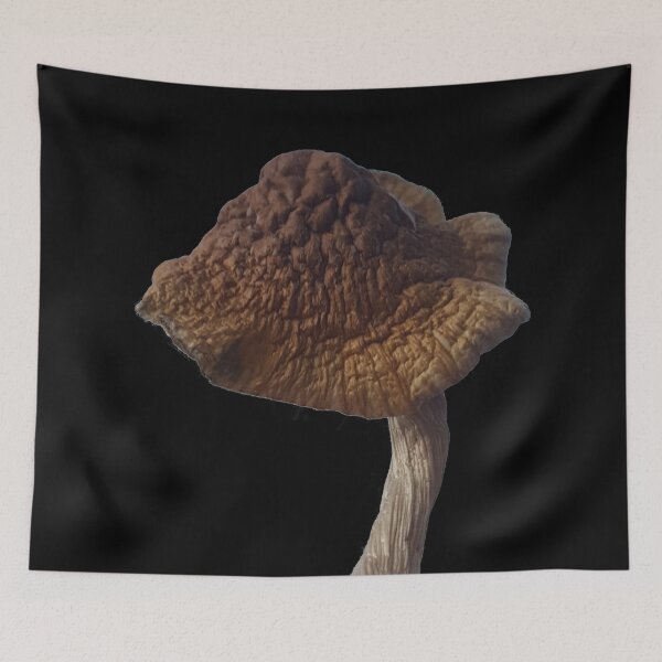 Item preview, Mushroom Unknown Psilocybe Cubensis designed and sold by Canadian-Garden.