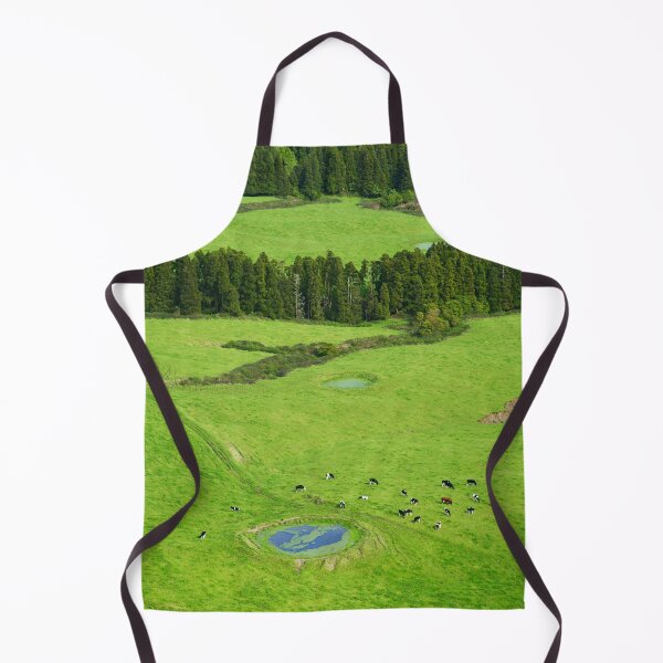 Item preview, Aerial view of pastures designed and sold by Gaspar Avila.