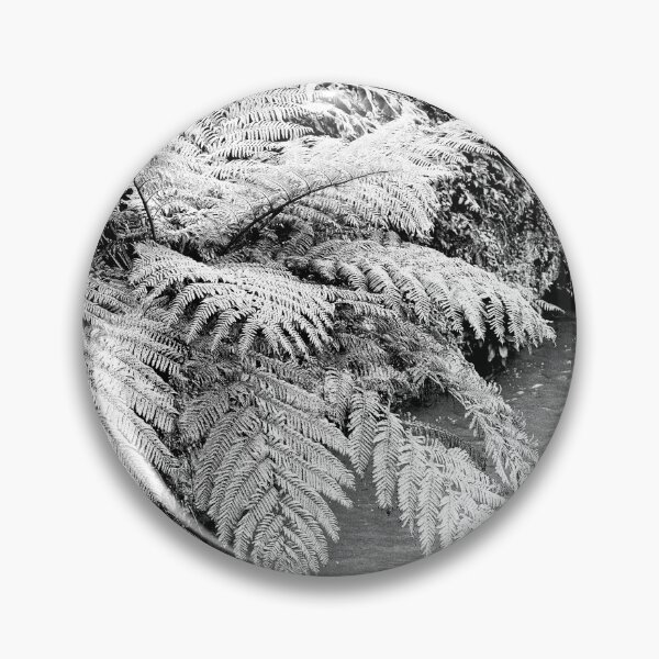 Item preview, Ferns designed and sold by Gaspar Avila.