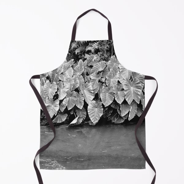 Item preview, Taro plants designed and sold by Gaspar Avila.