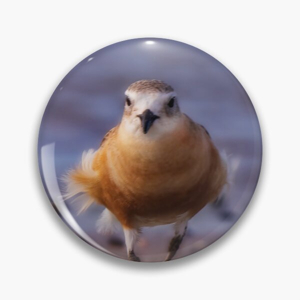 Item preview, New Zealand Northern Dotterel designed and sold by DVart-nz.