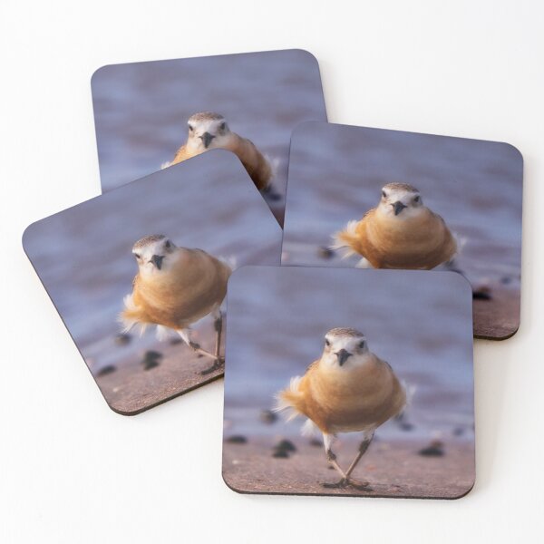 Item preview, New Zealand Northern Dotterel designed and sold by DVart-nz.