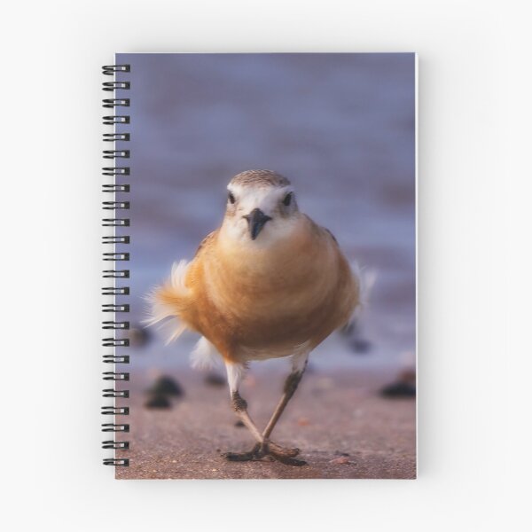 Item preview, New Zealand Northern Dotterel designed and sold by DVart-nz.