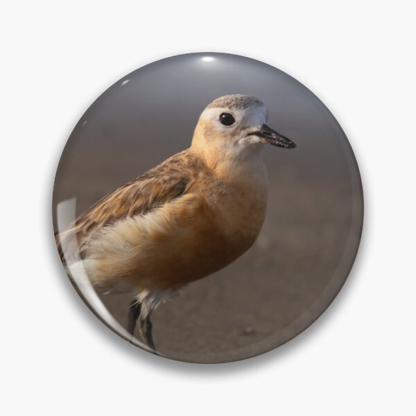 Item preview, Dotterel profile designed and sold by DVart-nz.