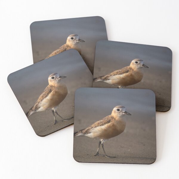 Item preview, Dotterel profile designed and sold by DVart-nz.
