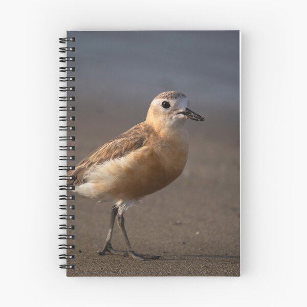 Item preview, Dotterel profile designed and sold by DVart-nz.