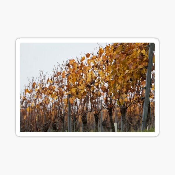 Item preview, Autumn mood in the vineyards designed and sold by M-Hutterer.