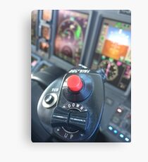Cockpit view Metal Print