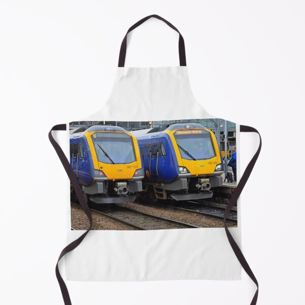 Item preview, Class 195 & 331 Northern trains designed and sold by Random Railways.