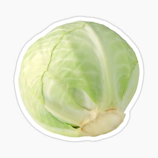 Cabbage Sticker