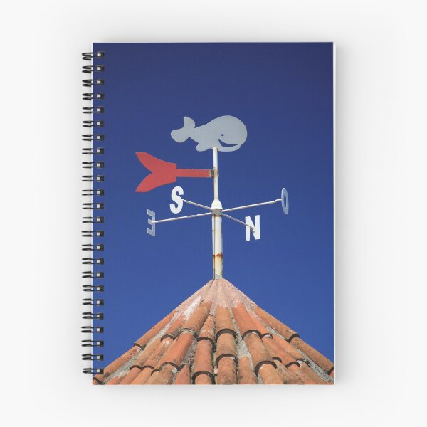 Item preview, Weather vane designed and sold by Gaspar Avila.