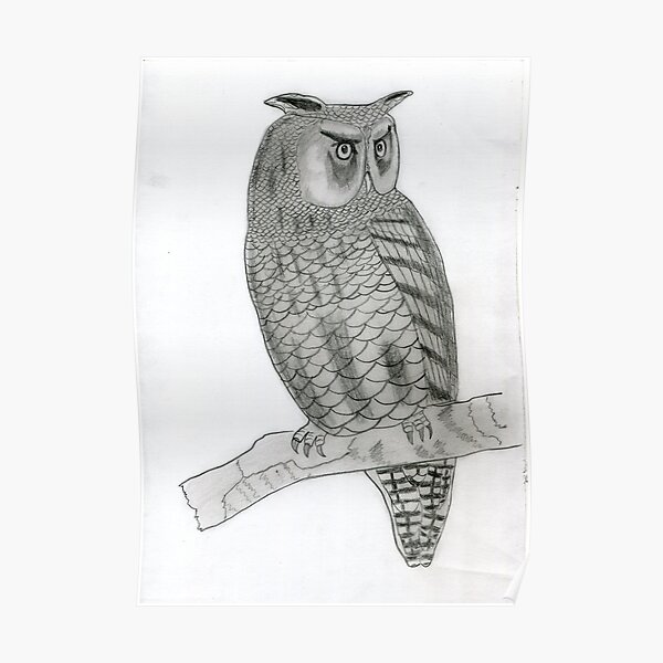 Realistic Owl Drawing Art -- Owl Graphite Pencil Poster