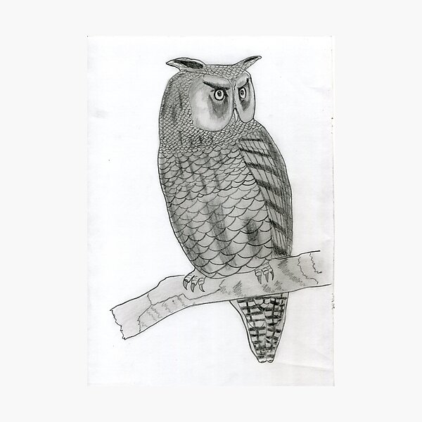 How to draw a realistic owl easily | Pencil sketch drawing for beginners -  Step by step - YouTube