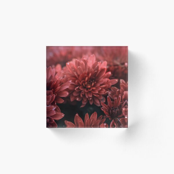 Red Flowers Acrylic Block