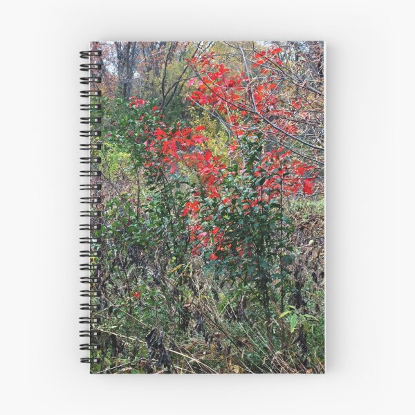 Item preview, Autumn Scarlet designed and sold by MarjorieB.