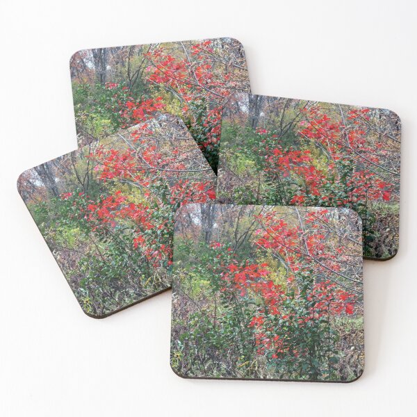 Item preview, Autumn Scarlet designed and sold by MarjorieB.