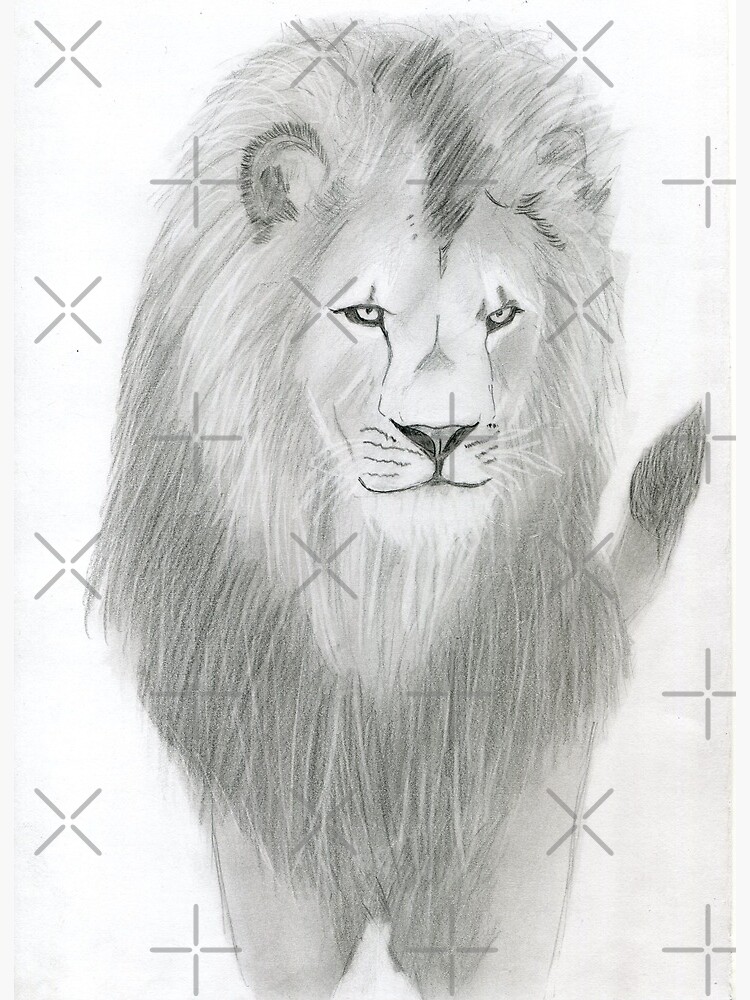 Featured image of post The Best 26 Como Dibujar Un Leon Realista Facil